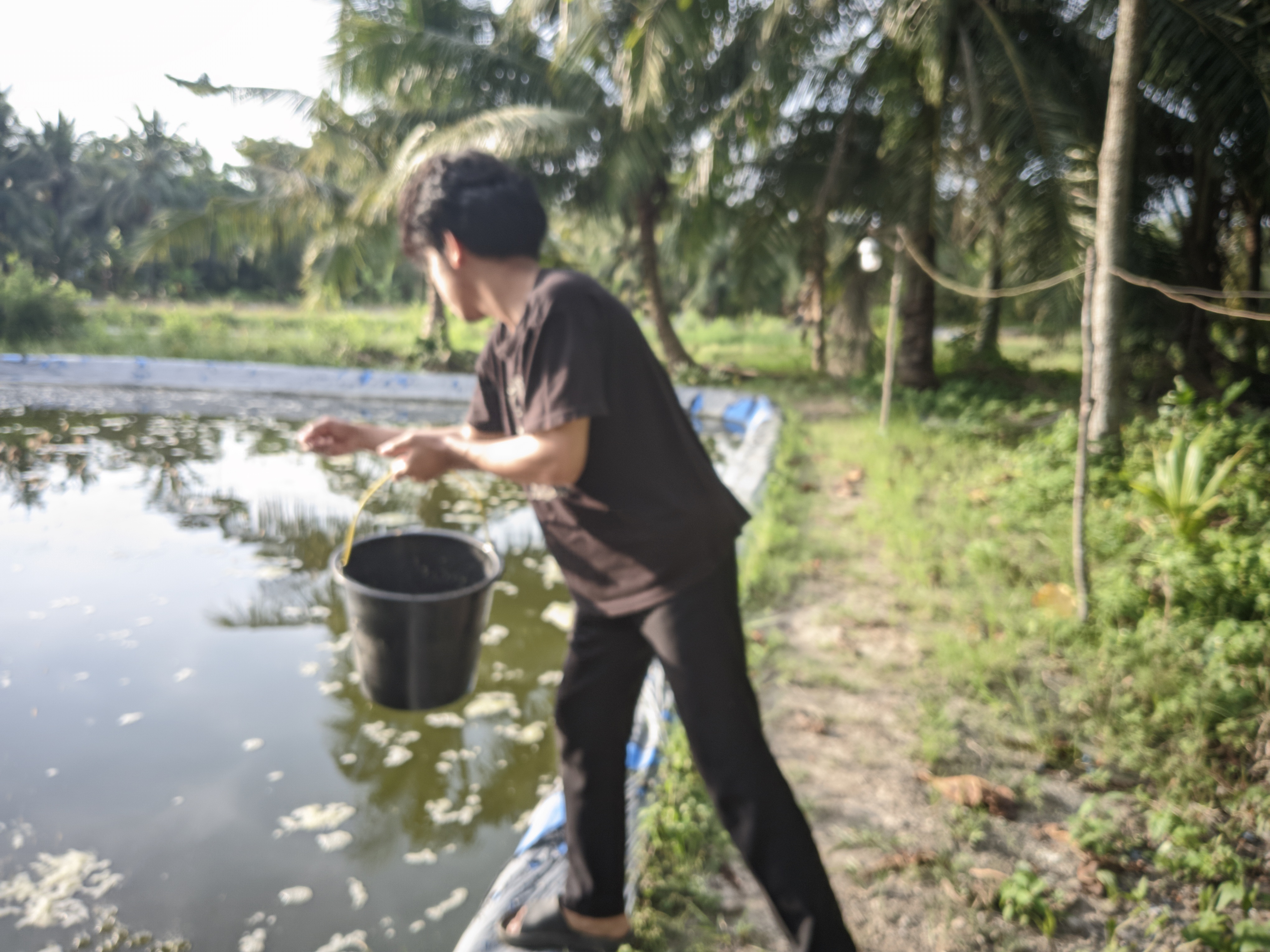 Tambak Get Udang